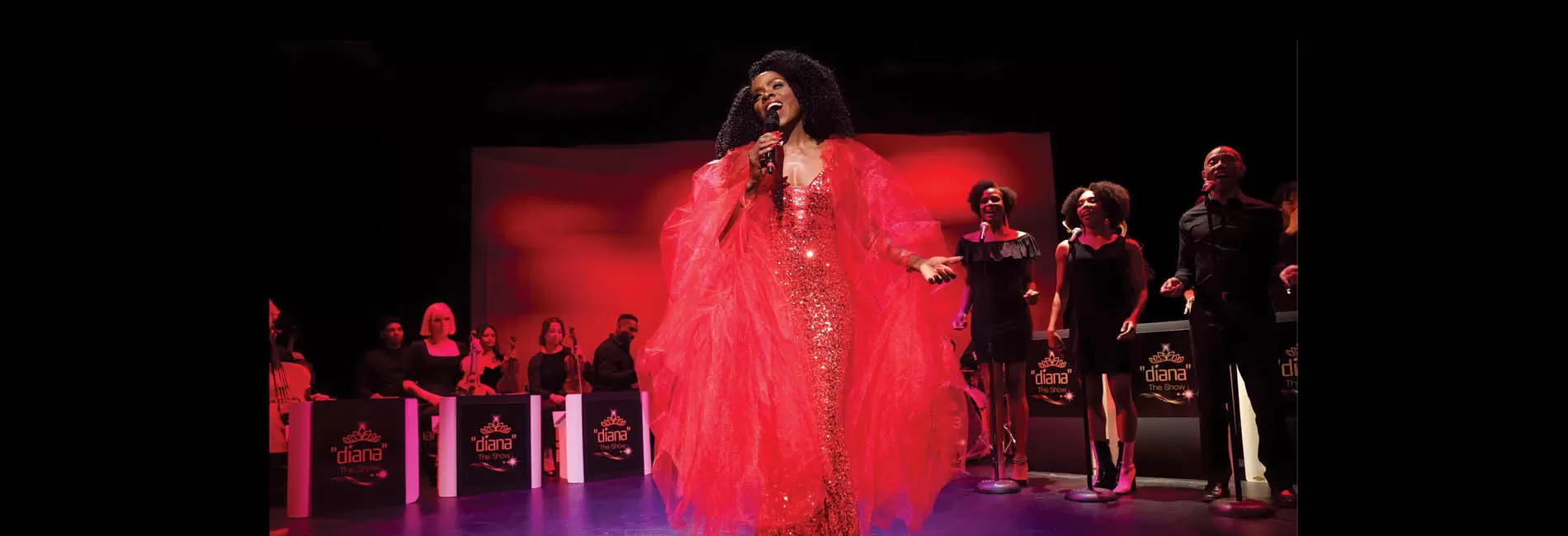 "diana - The Show"
Tribute to Diana Ross