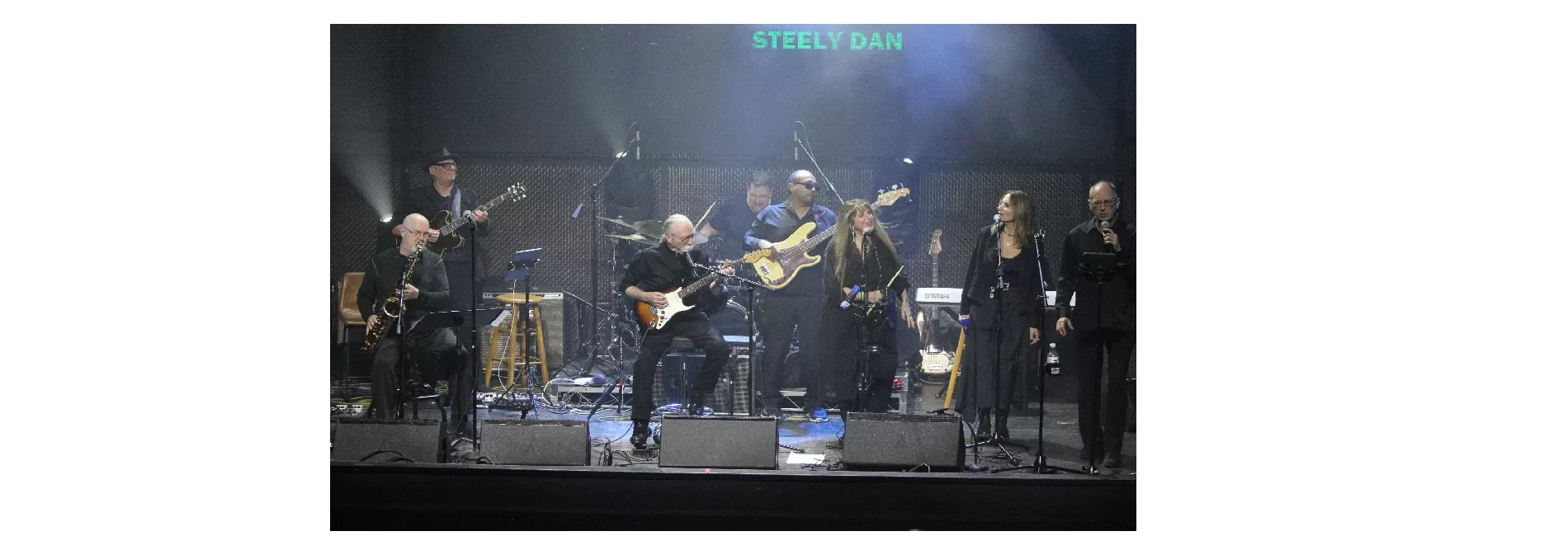 The Music of STEELY DAN