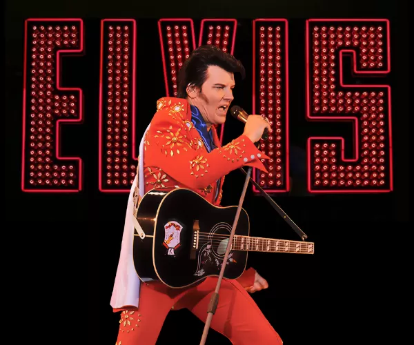 The Wonder of Elvis
